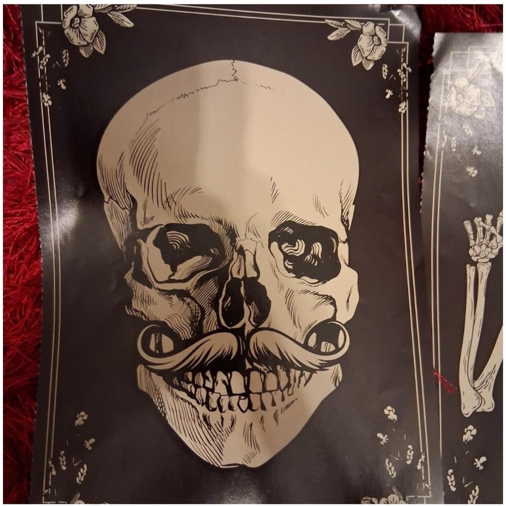 Skeleton Posters - Picture 2 of 5